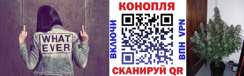 где купить наркоту  Артёмовский  ОМГ ОМГ зеркало  Бошки Шишки индика 